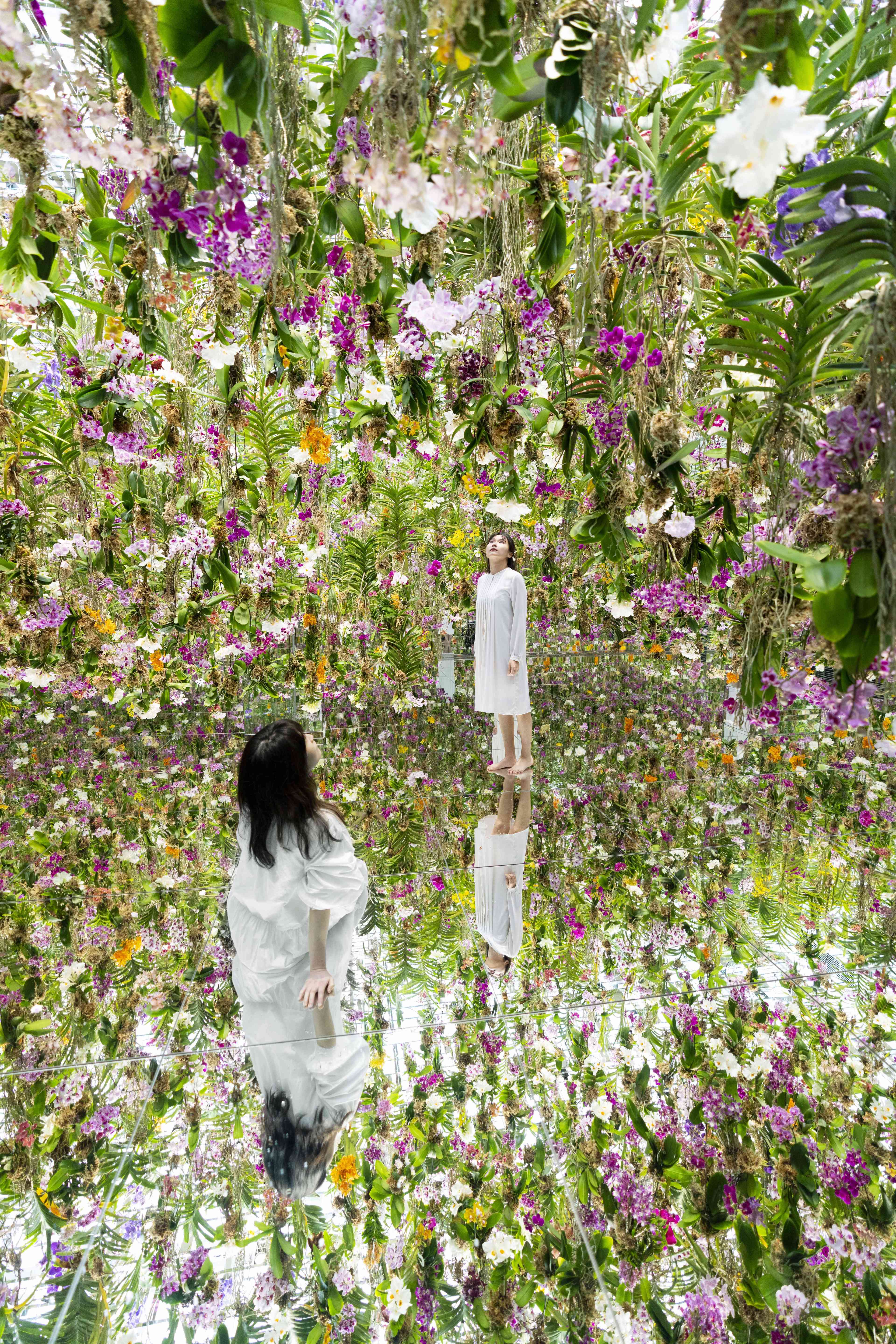 Floating Flower Garden: 花と我と同根、庭と我と一体 / Floating Flower Garden: Flowers and  I are of the Same Root, the Garden and I are One | teamLab / チームラボ