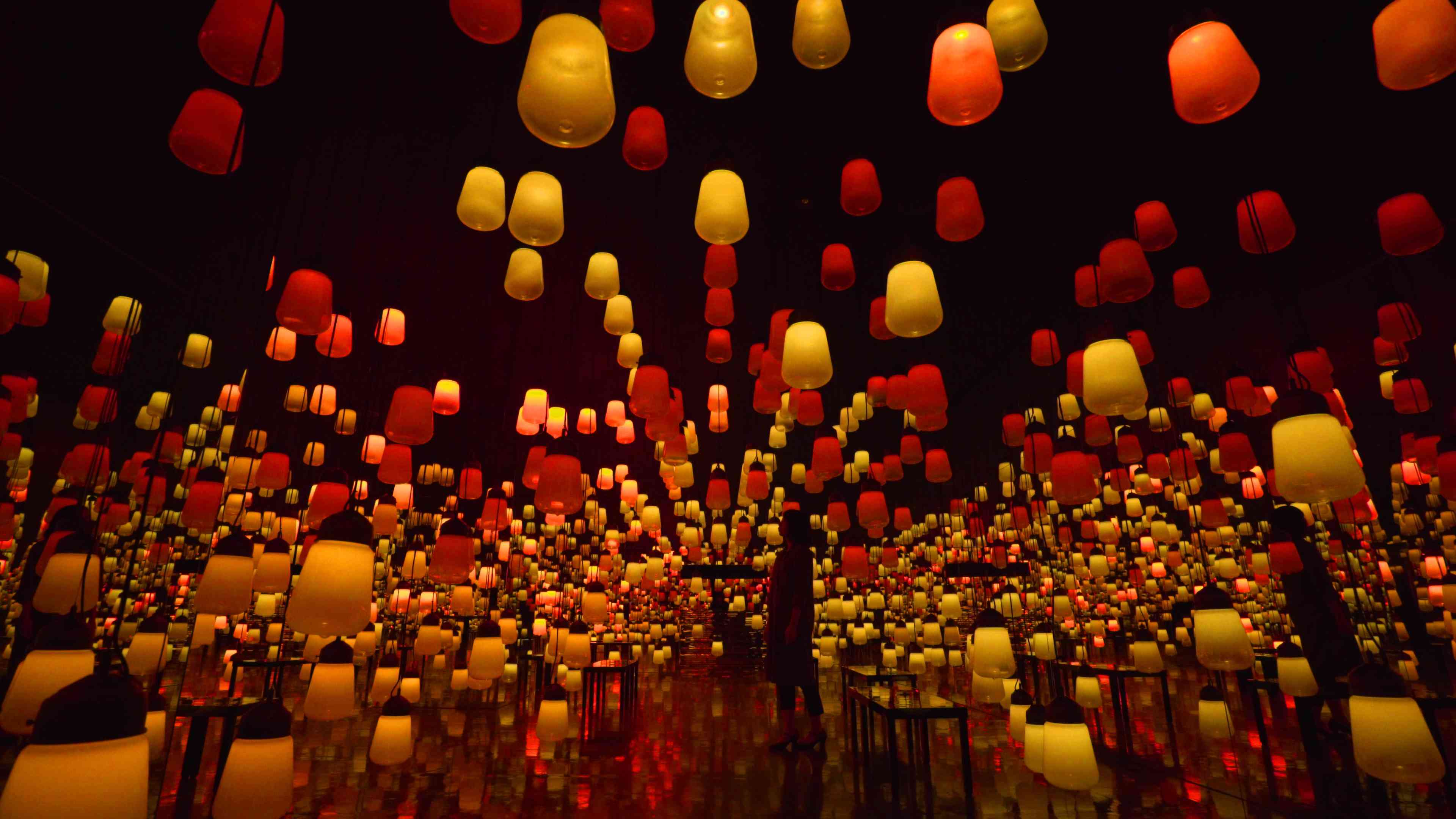 Forest and Spiral of Resonating Lamps - One Stroke, Autumn