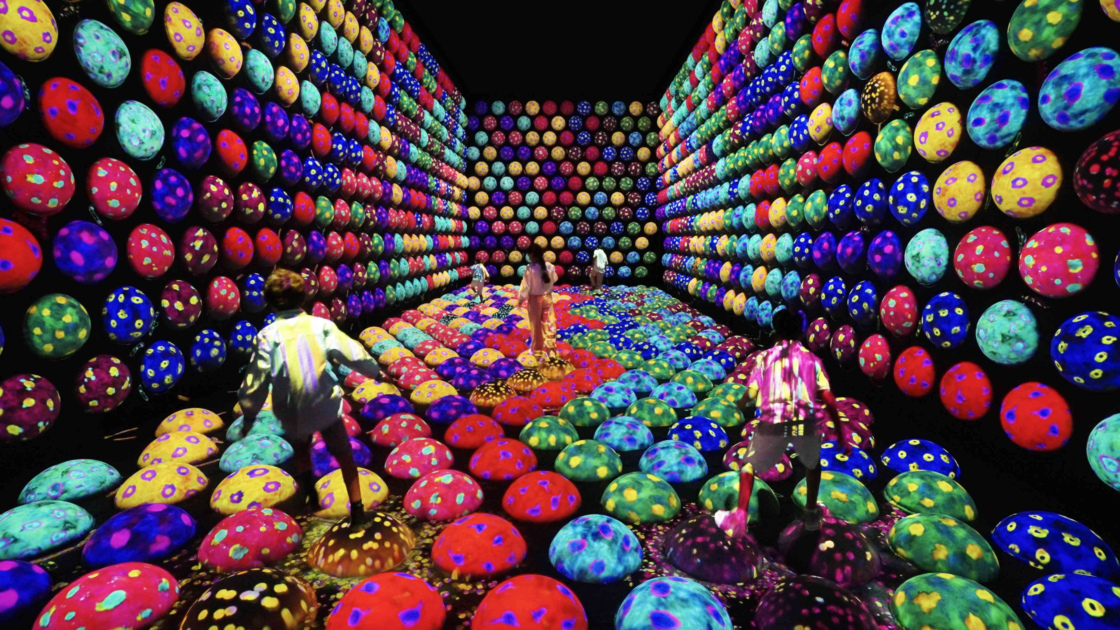 あおむしハウスの高速回転跳ね球 / Rapidly Rotating Bouncing あおむしハウスの高速回転跳ね球 / Rapidly Rotating Bouncing