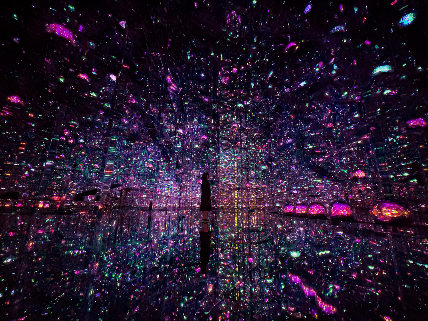 Official] teamLab Borderless TOKYO, Azabudai Hills