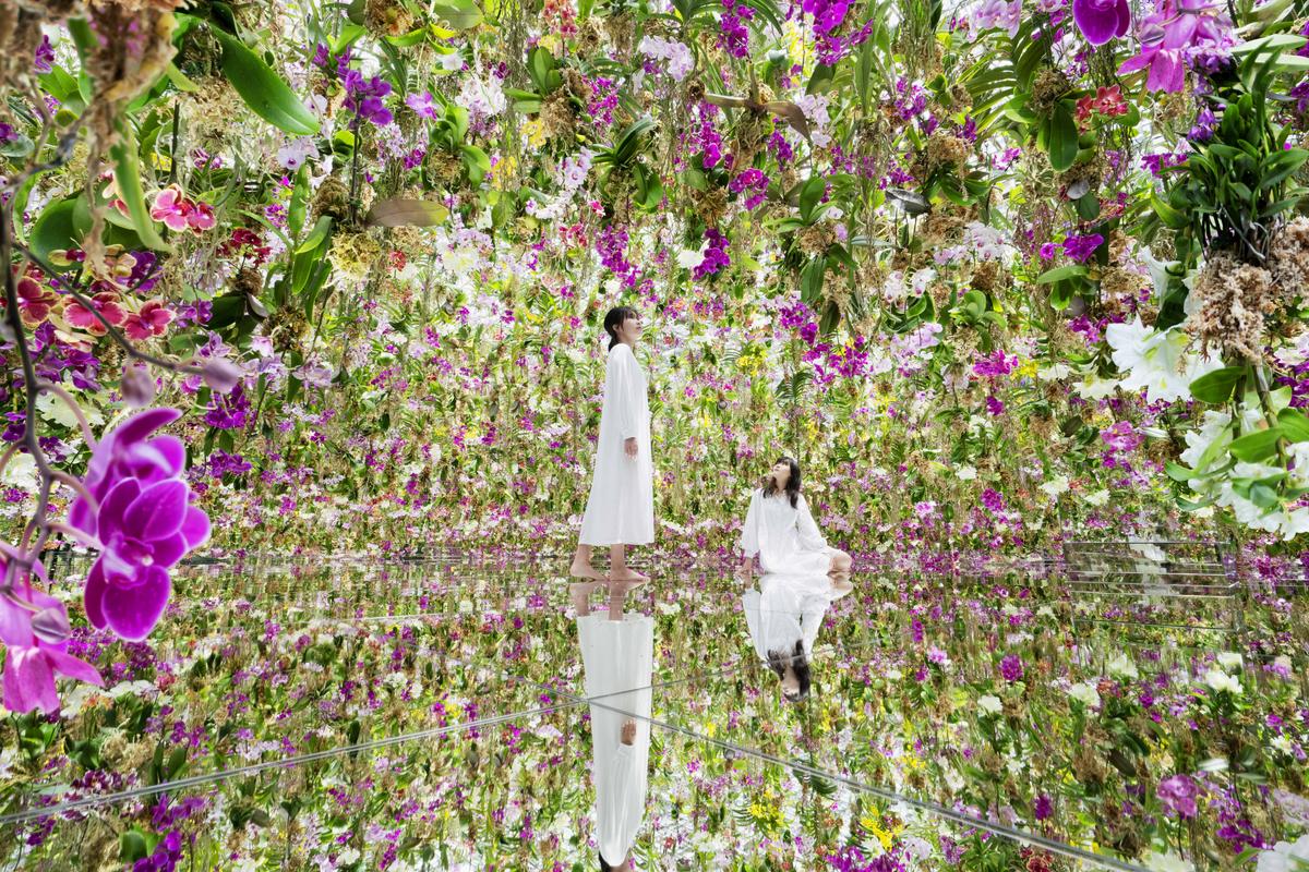 [官方] teamLab Planets TOKYO, 豐洲, 東京