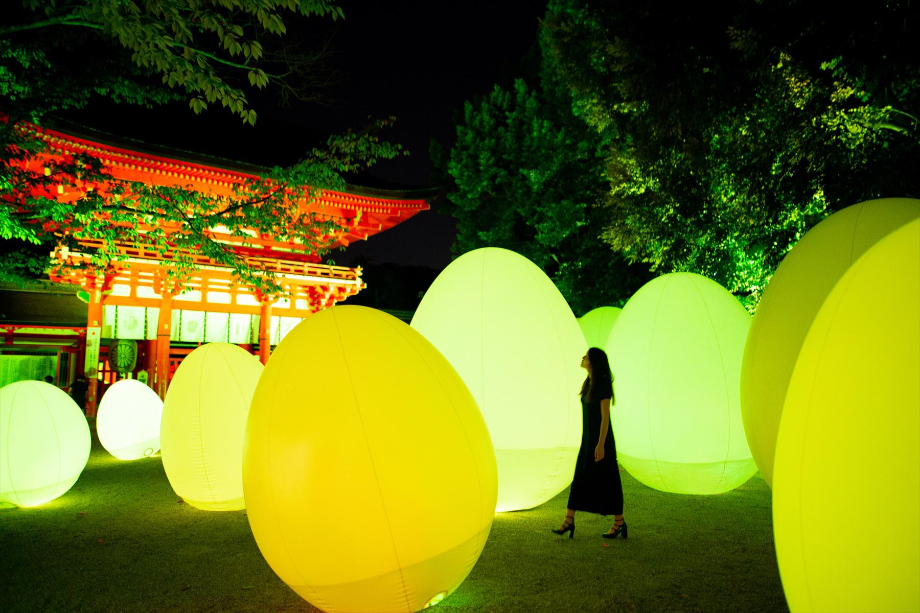 Light Festival in Tadasu no Mori at the World Heritage Site Light Festival in Tadasu no Mori at the World Heritage Site