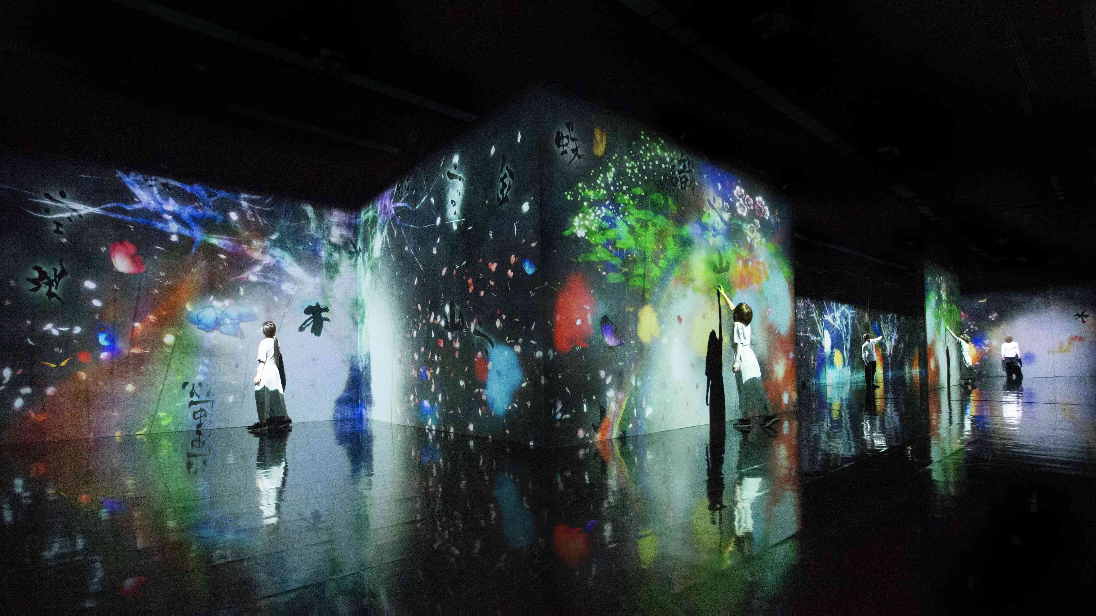 チームラボ 世界は暗闇からはじまるが、それでもやさしくうつくしい | teamLab / チームラボ