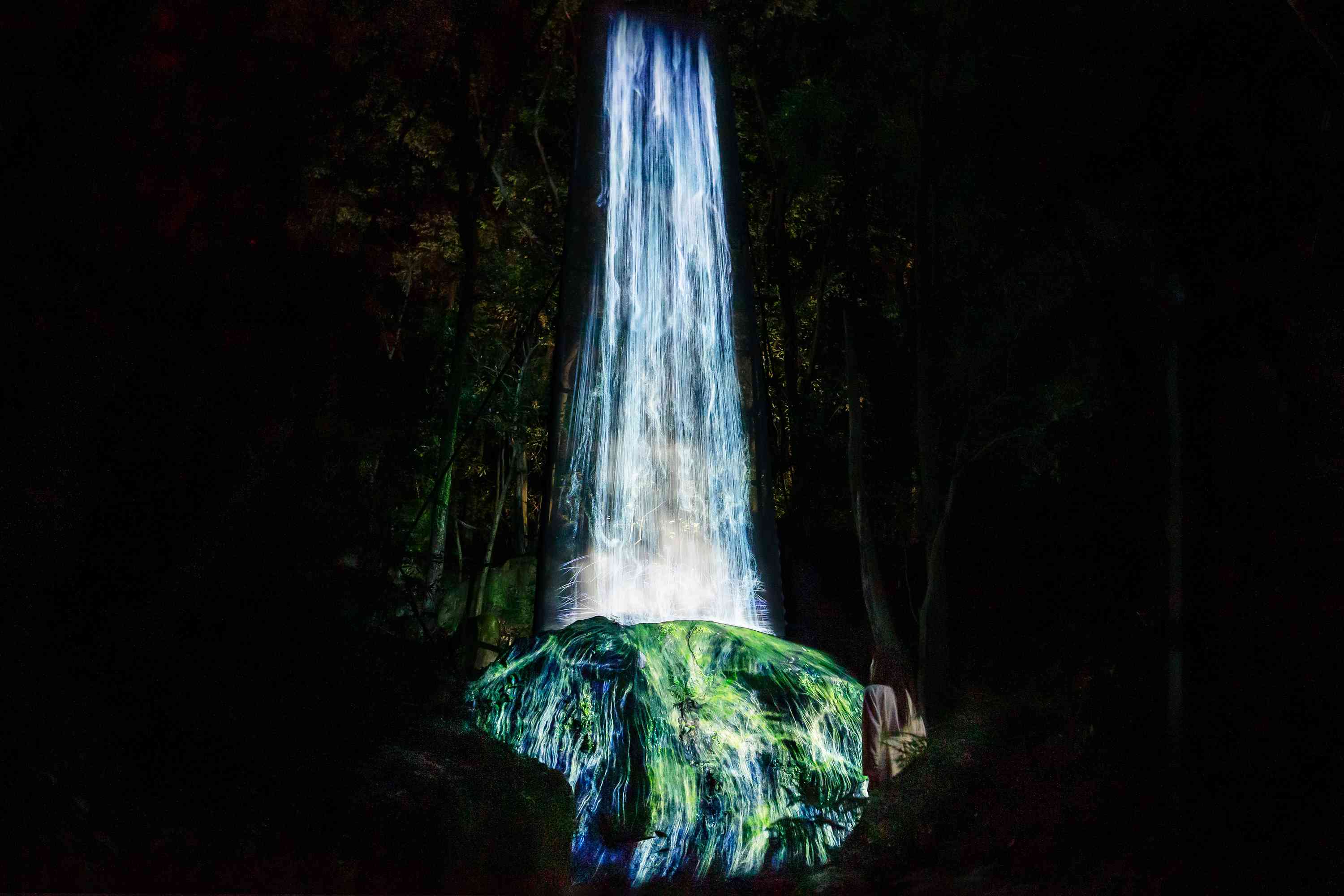 VOLVO teamLab: A Forest Where Gods Live | teamLab