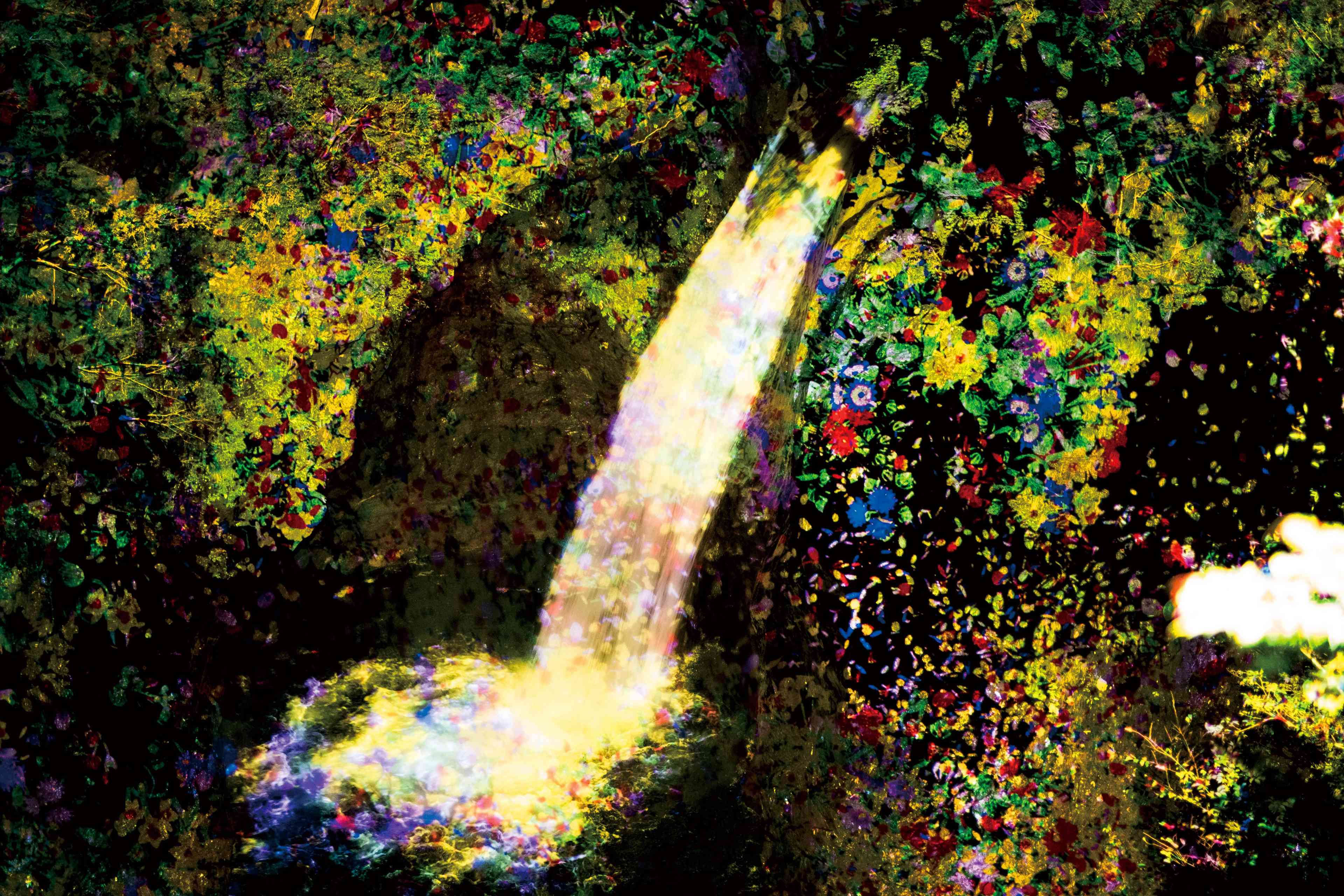 増殖する生命の滝 - 四国の山奥 / Ever Blossoming Life