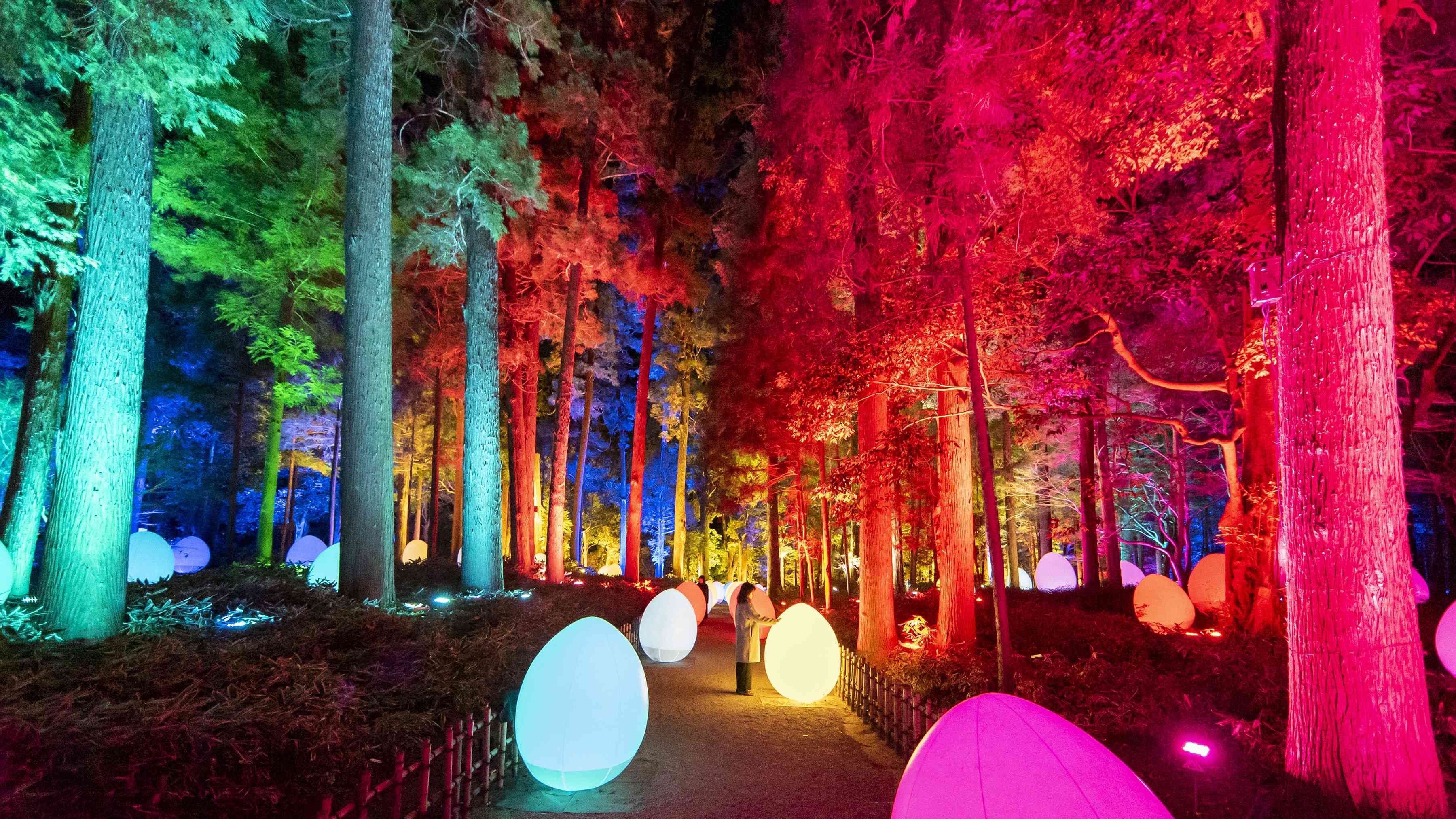 Autonomous Resonating Life and Resonating Giant Cedar Forest