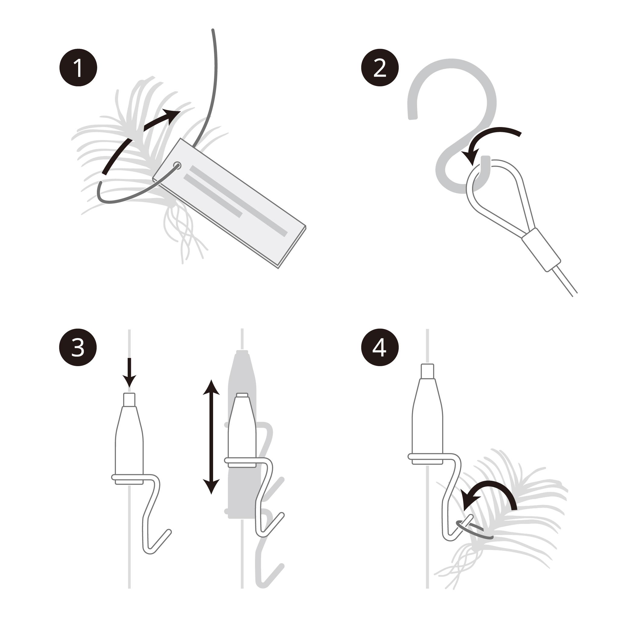 How to attach vandas vanda with wood tag teamlab