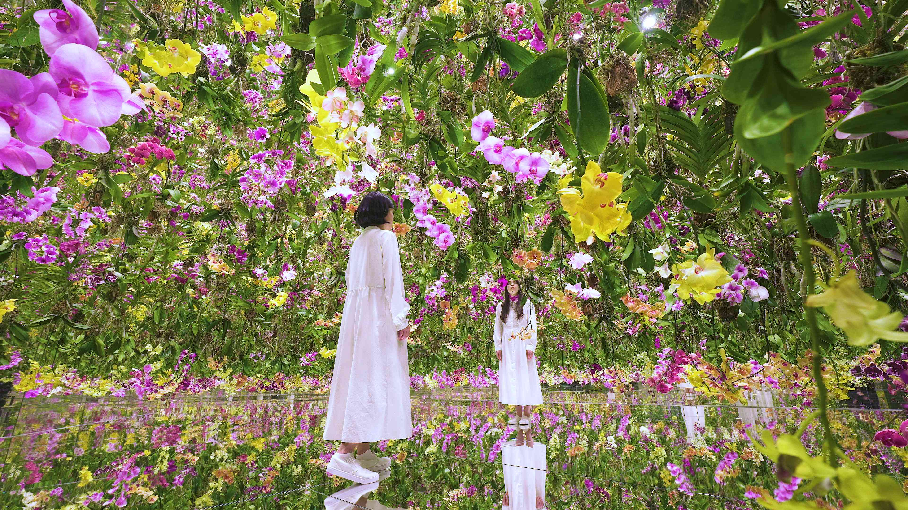 Floating Flower Garden: Flowers and I are of the Same Root Floating Flower Garden: Flowers and I are of the Same Root