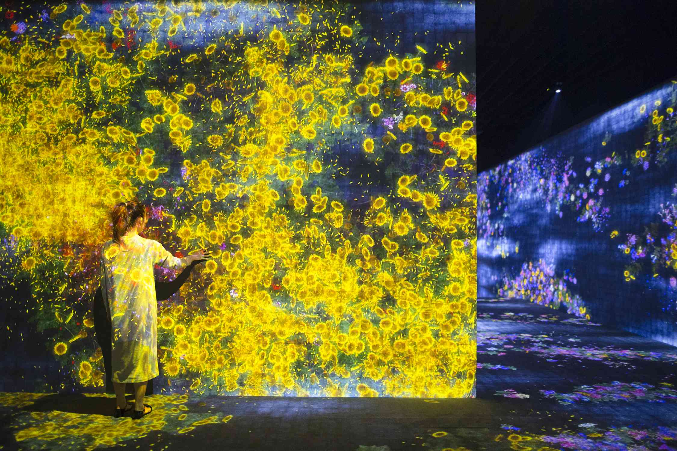 teamLab: Living Digital Forest and Future Park | teamLab