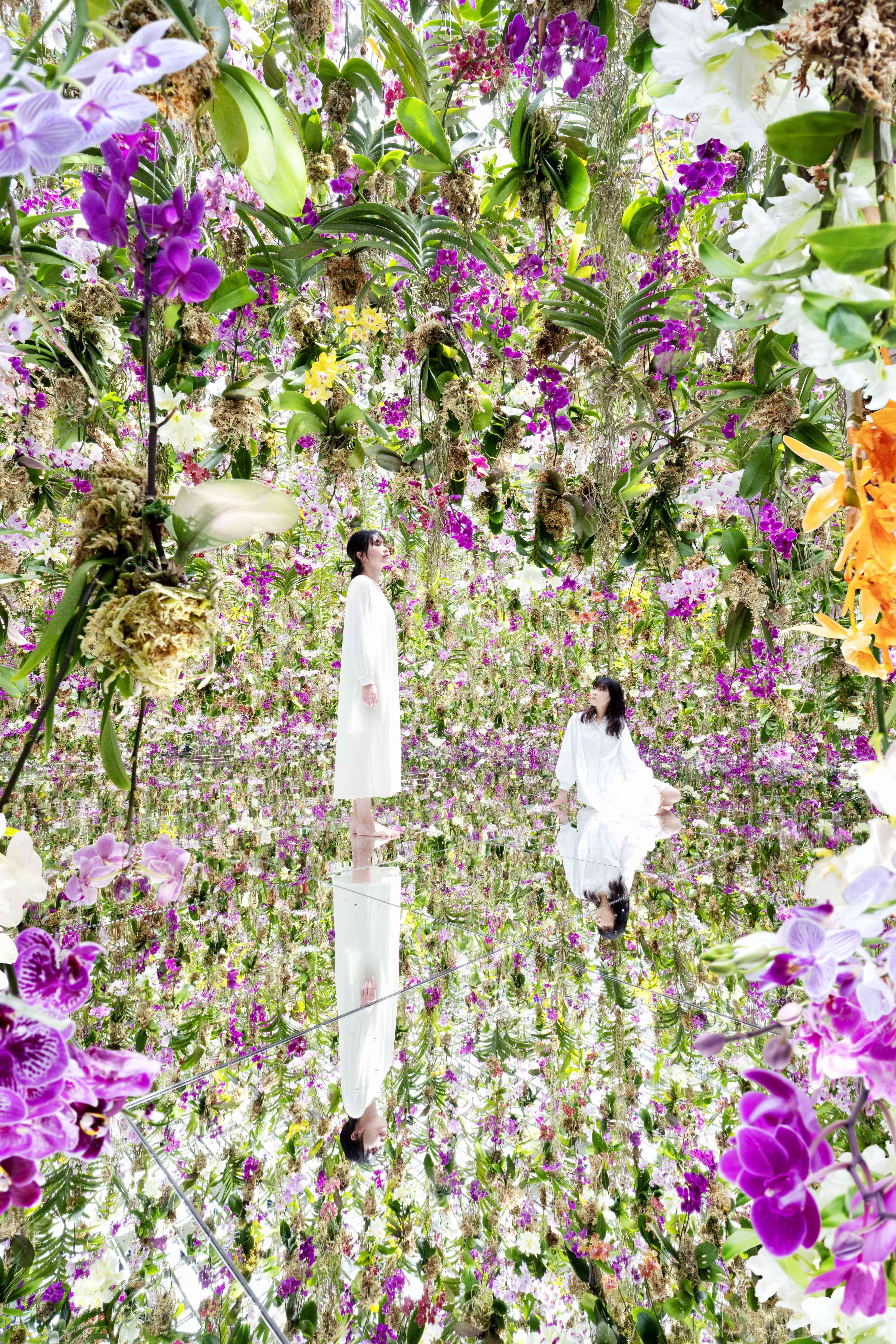 Floating Flower Garden: Flowers and I are of the Same Root Floating Flower Garden: Flowers and I are of the Same Root