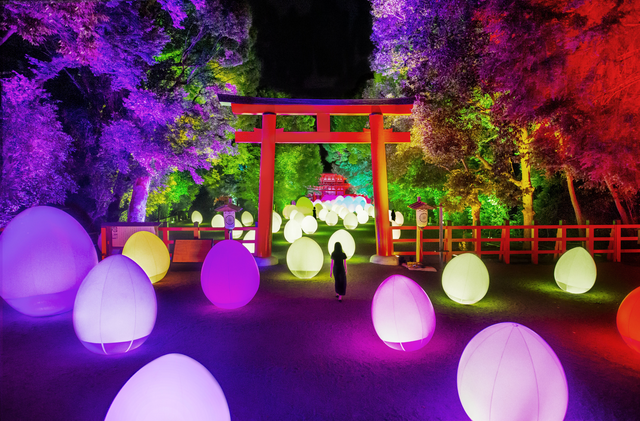 下鴨 神社 光 の アート