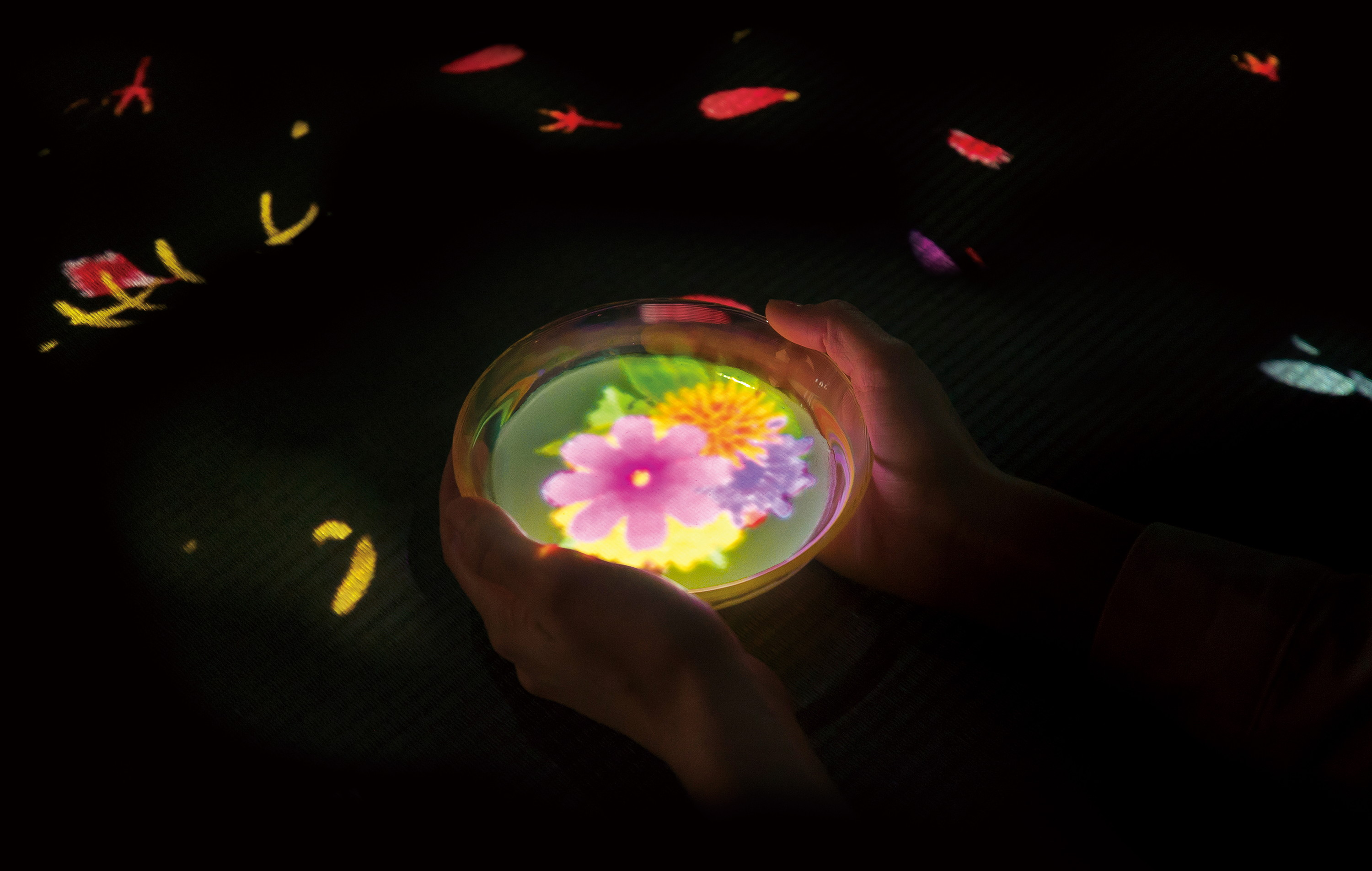Flowers Bloom in an Infinite Universe inside a Teacup | teamLab
