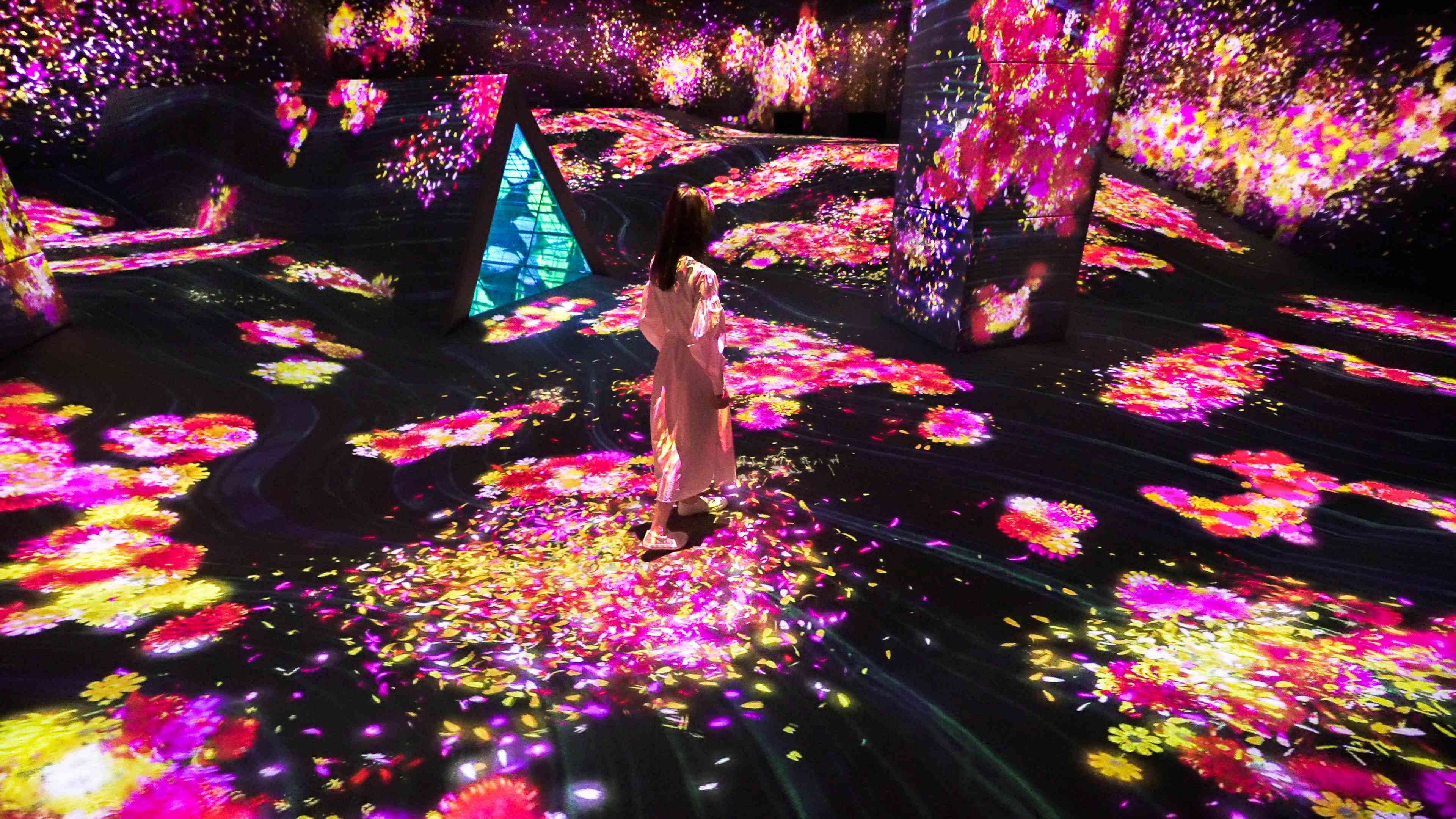 うごめく谷の、花と共に生きる生き物たち - A Whole Year per