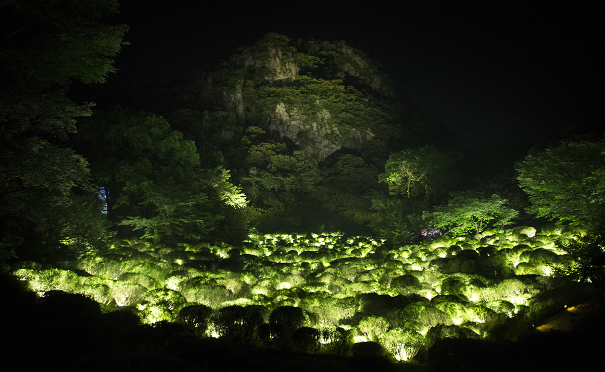 生命は連続する光 つつじ谷 Life is Continuous Light Azalea Valley teamLab チームラボ