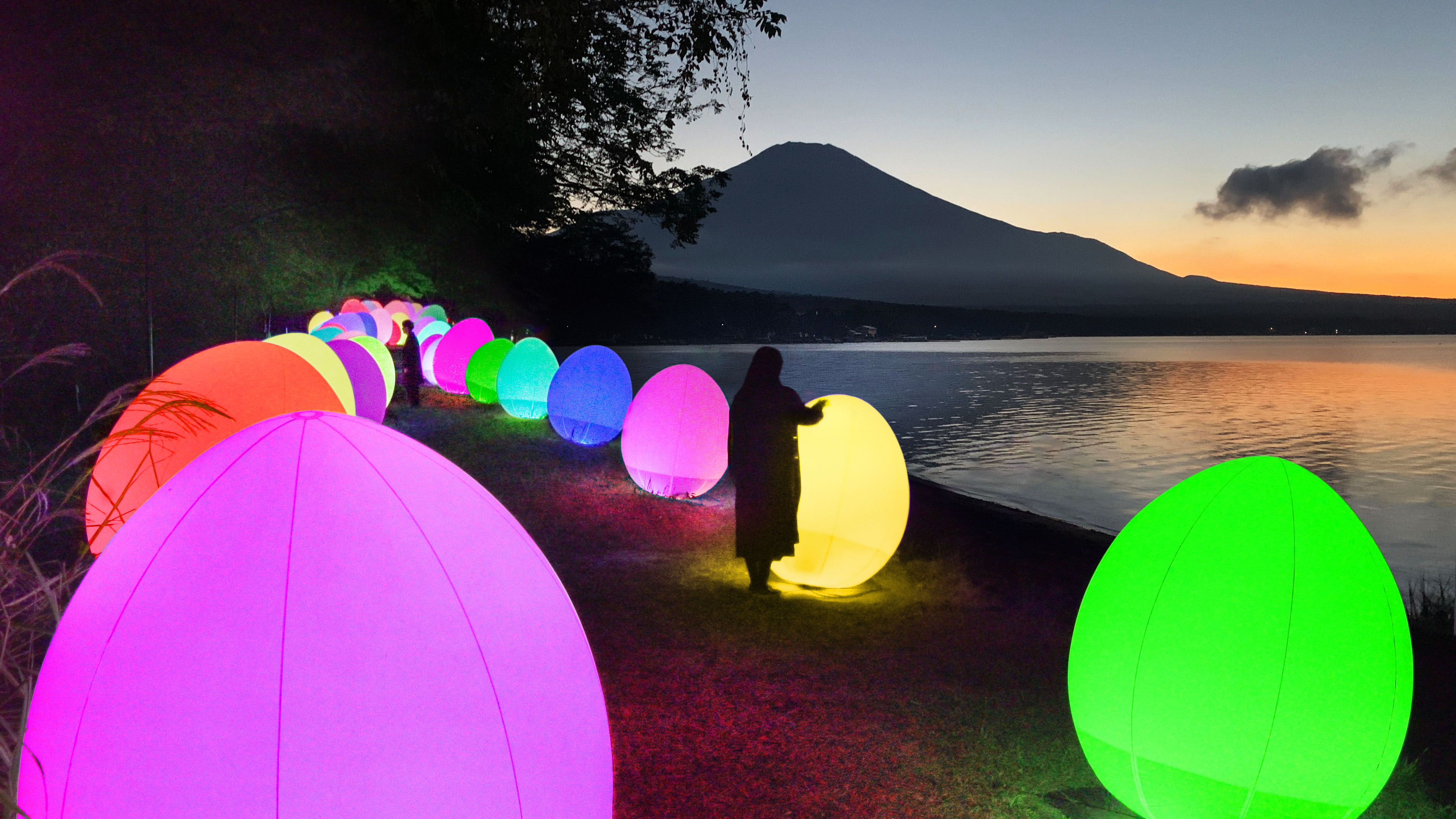 展示テーマ画像