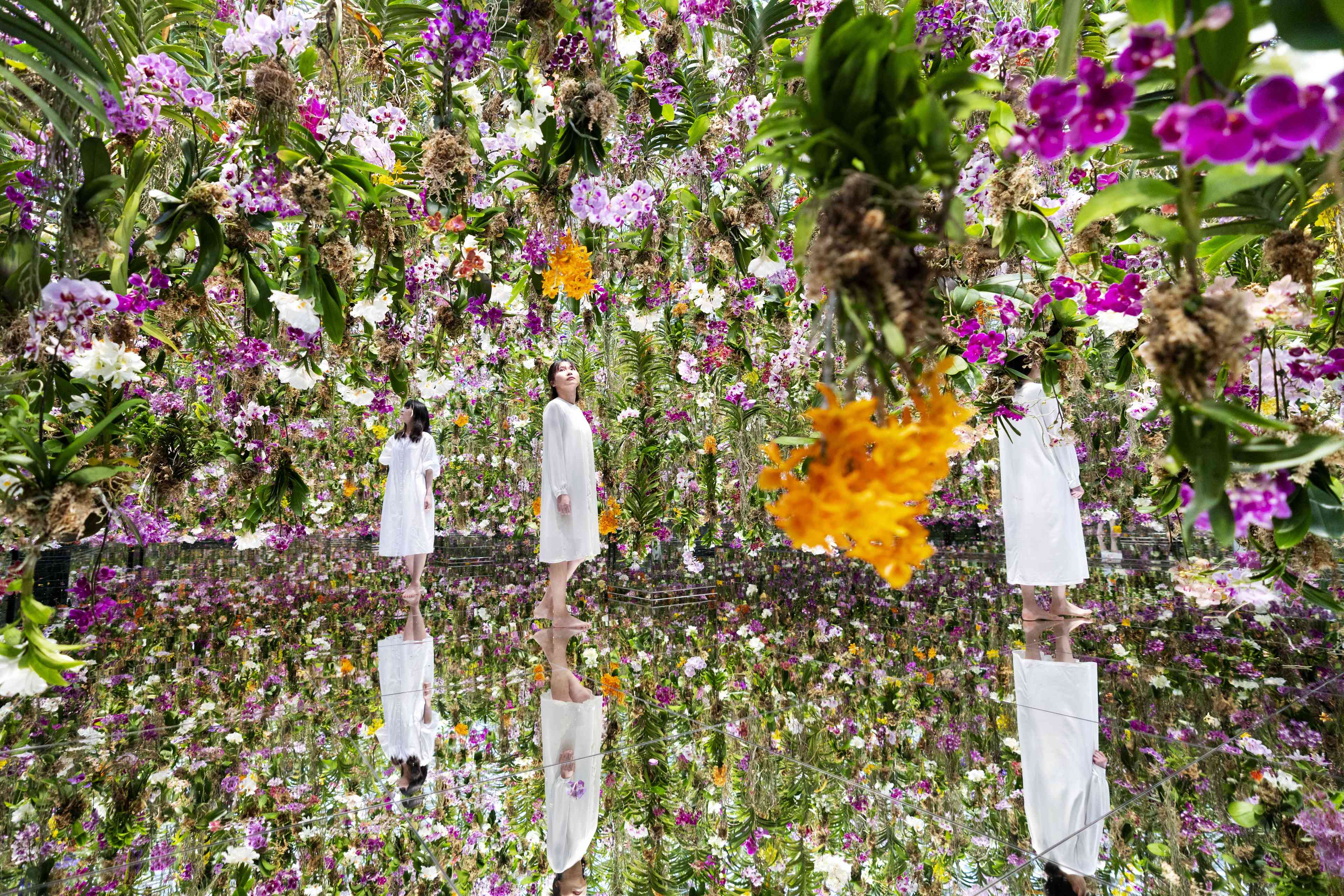 Floating Flower Garden: 花と我と同根、庭と我と一体 / Floating Flower Garden: Flowers and  I are of the Same Root, the Garden and I are One | teamLab / チームラボ