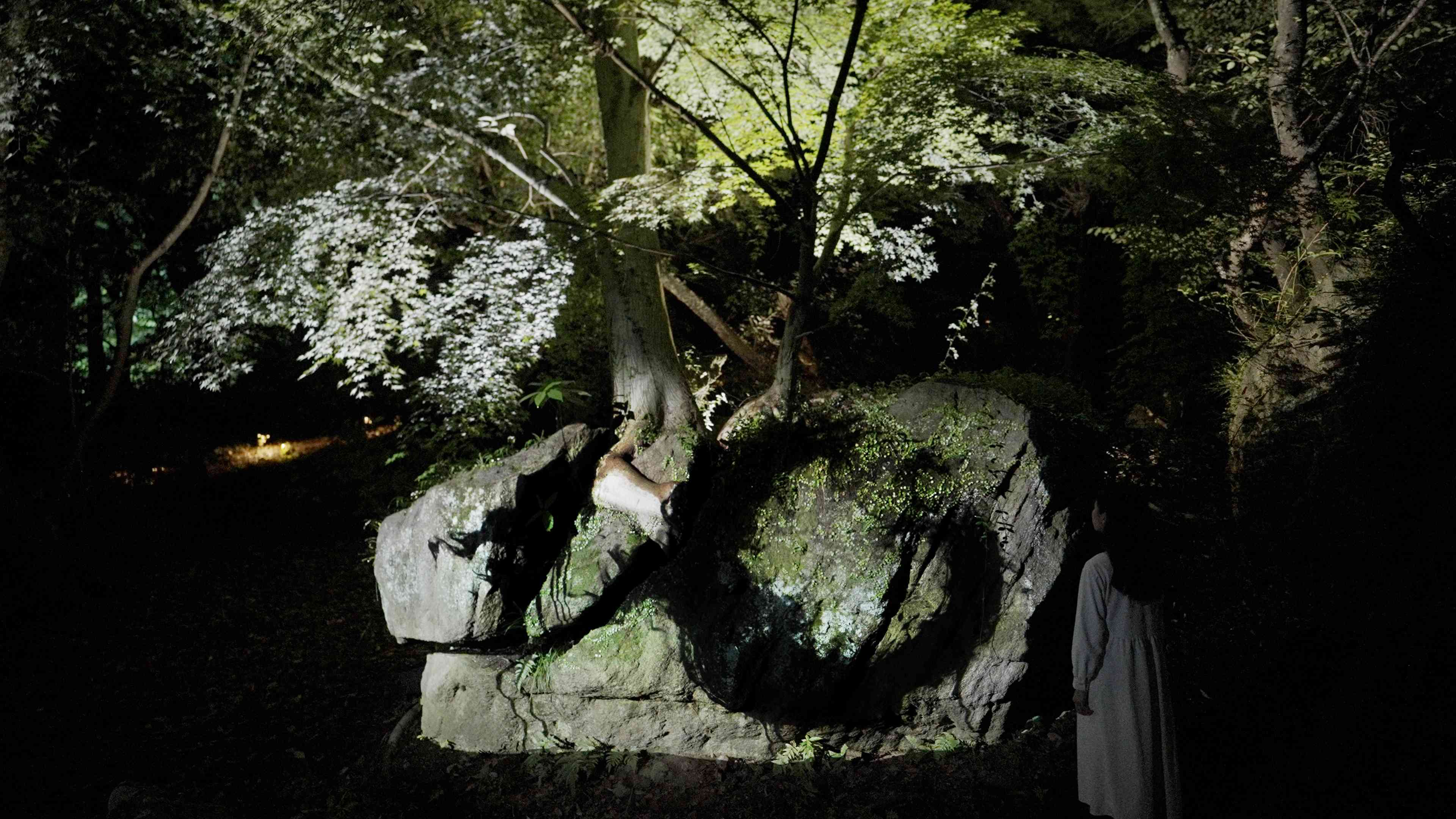 関連画像