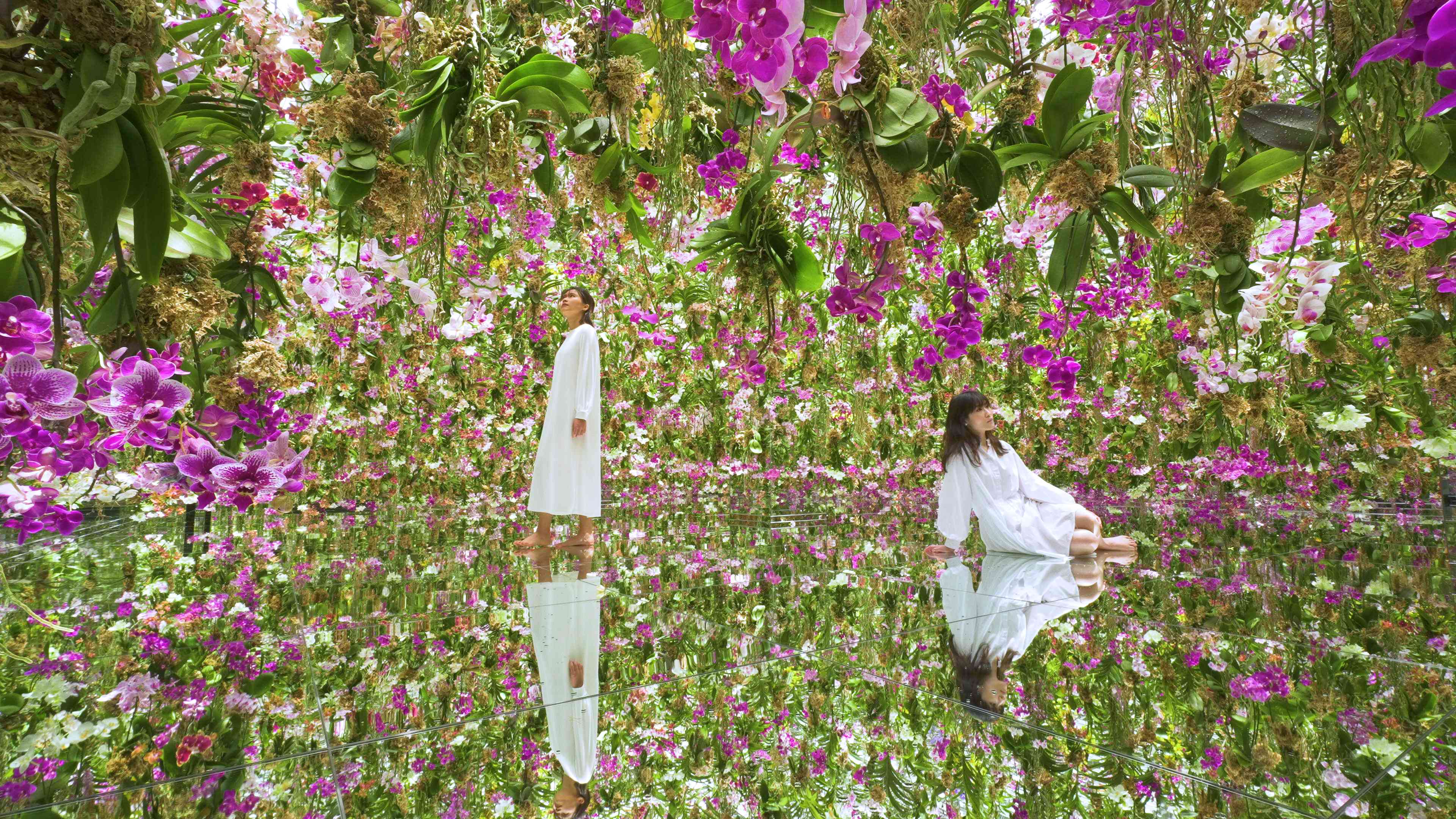 Floating Flower Garden: 花と我と同根、庭と我と一体 / Floating Flower Garden: Flowers and  I are of the Same Root, the Garden and I are One | teamLab / チームラボ