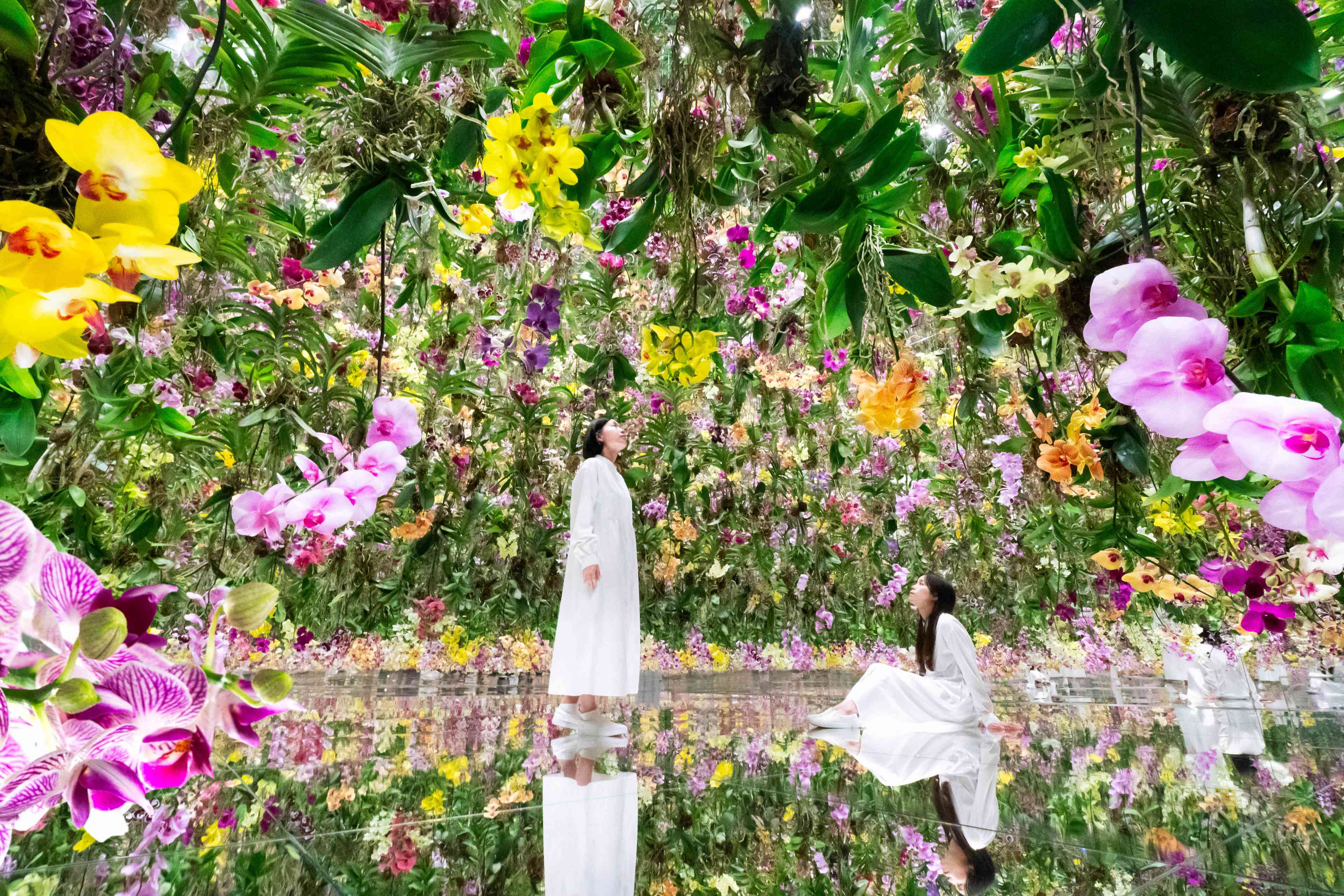 Takashi Murakami | Paradise in a Flower Field (2023