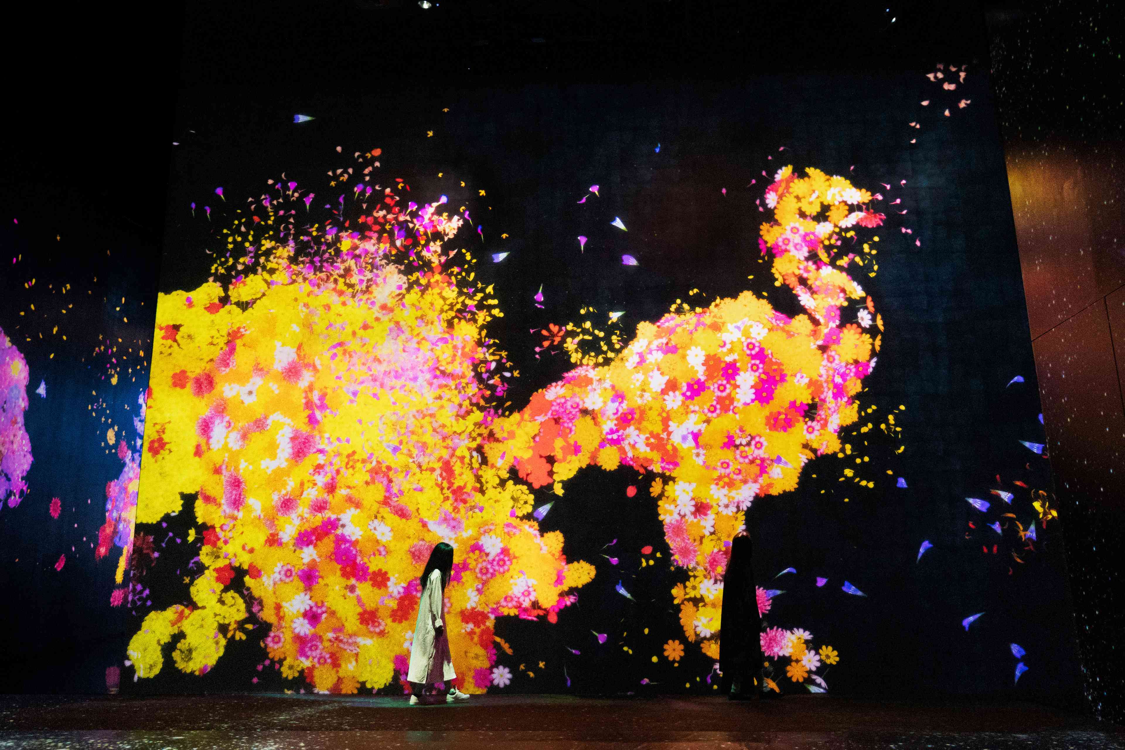 花と共に生きる動物たち II / Animals of Flowers, Symbiotic