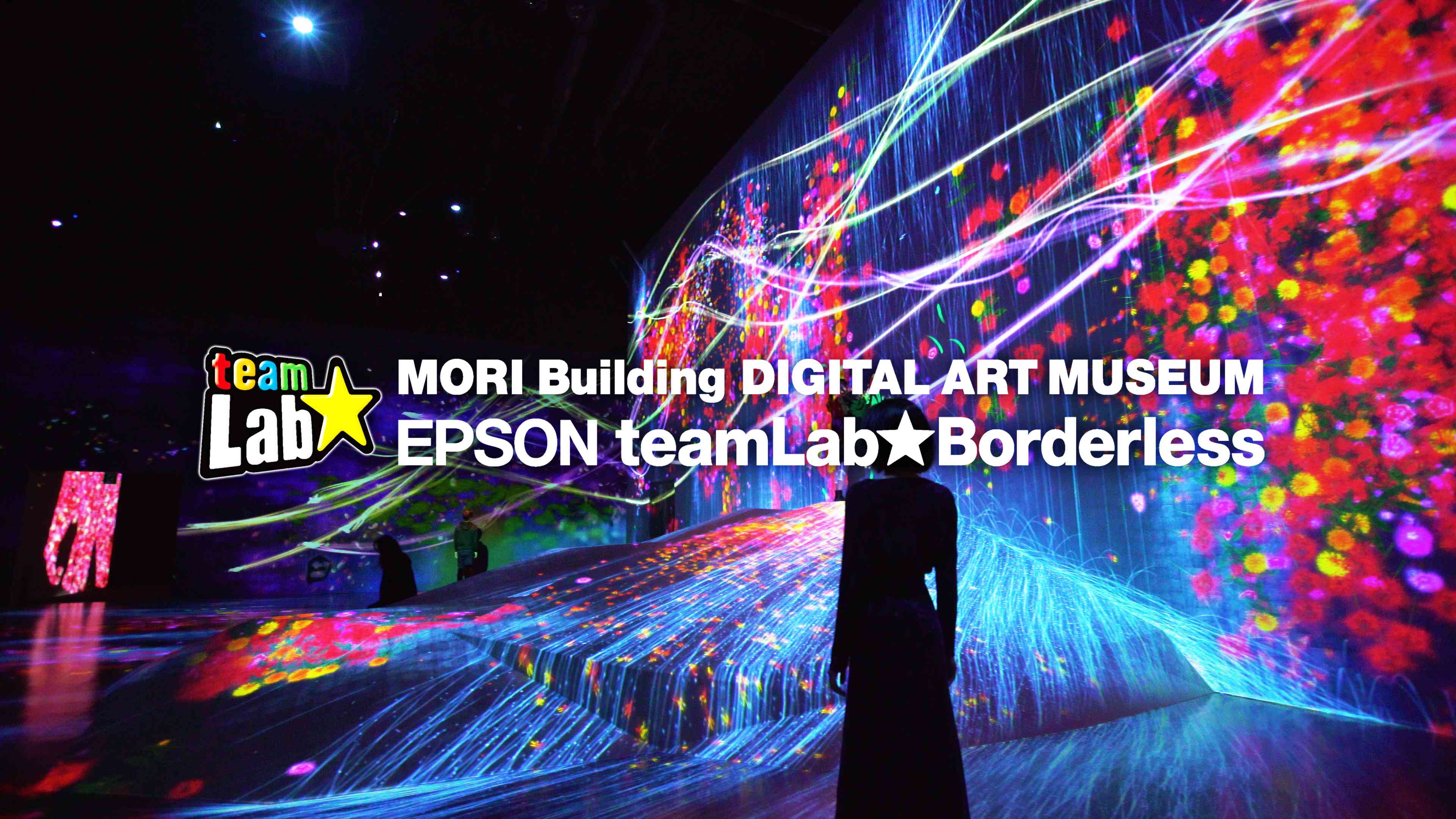 teamLab Borderless Odaiba (Closed) Official Site: MORI Building DIGITAL ART  MUSEUM